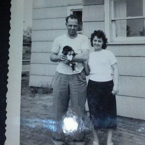 Meet your Posher, Donna